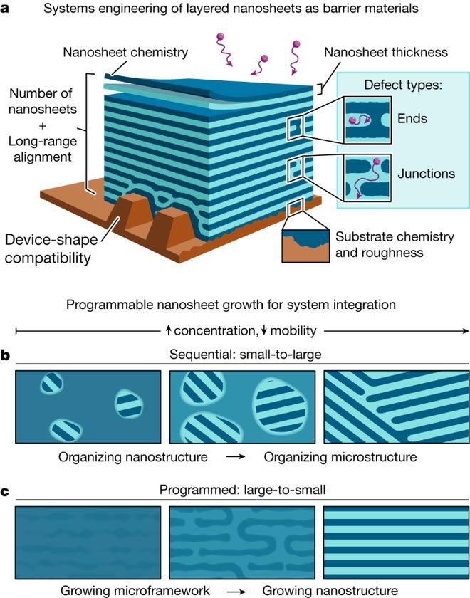 纳米复合材料登上Nature!BB电子 BB电子的官网(图2)