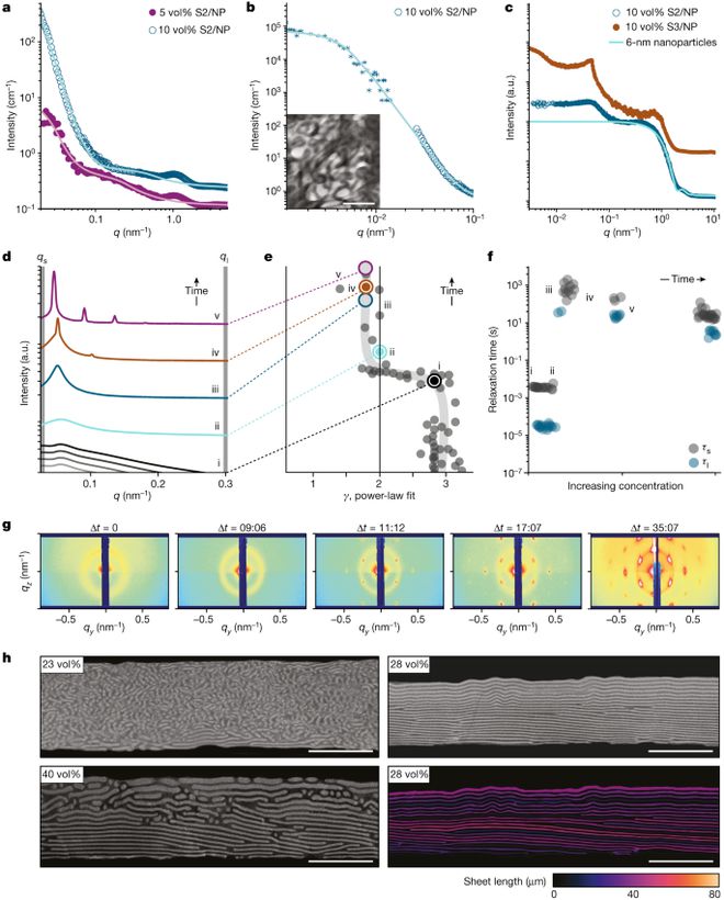 纳米复合材料登上Nature!BB电子 BB电子的官网(图3)