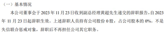 金岩高新副总经理黄超辞职 2023年上半年公司净利10104