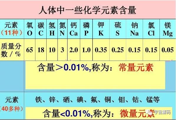 古时“祭剑”或真能提高剑品质！纵身跳入钢水中到底会不会疼？BB电子 BB平台(图7)